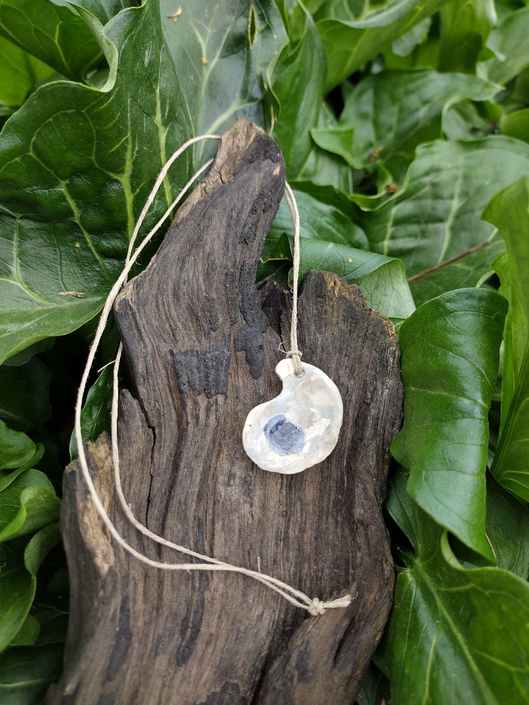 Oyster Pendant